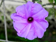 DSCN9312