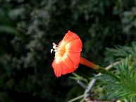 6-DSCN0469