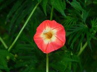 DSCN0073