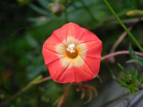 DSCN0334