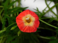 DSCN0607