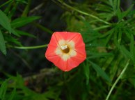 DSCN0805