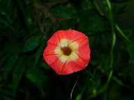 DSCN0986