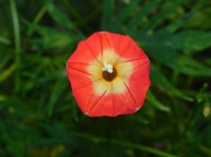 DSCN1162