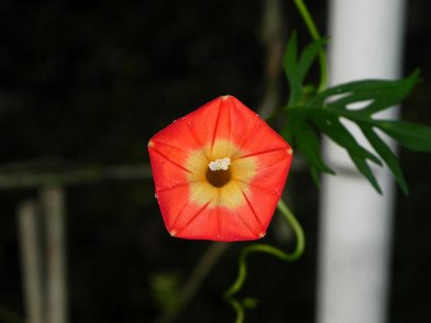 DSCN1164