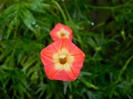 DSCN1508