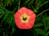 DSCN2576