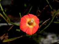DSCN3194