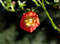 DSCN3196