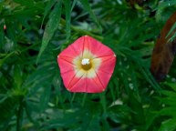 DSCN8422_01