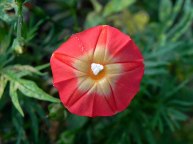 DSCN9988_01