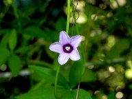 DSCN0054