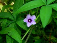 DSCN0055