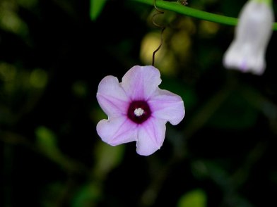 DSCN1063