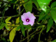 DSCN3463