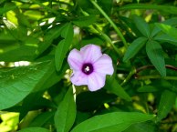 DSCN8210