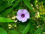 DSCN8766