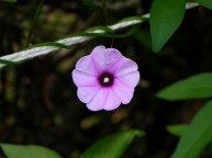 DSCN9358