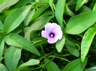 DSCN9674