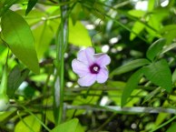 DSCN9675