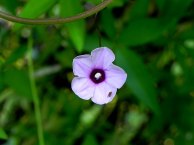 DSCN9926