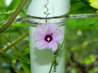 DSCN9927