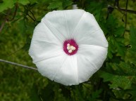 6DSCN3220