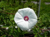 DSCN2559