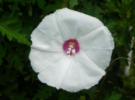 DSCN2939