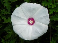 DSCN2940