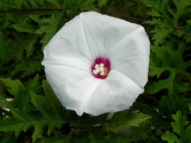 DSCN3221