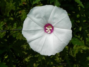DSCN3223