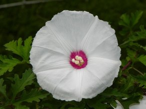 DSCN3376