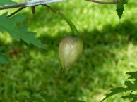 DSCN8310