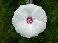 DSCN9928